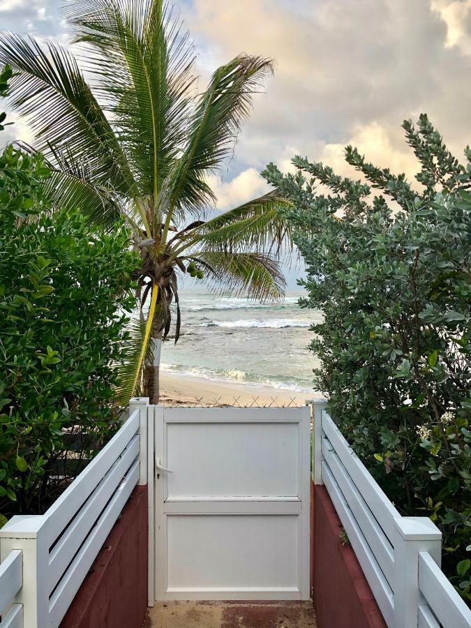 Appartement Au Bord De L'Eau Le Moule Eksteriør bilde